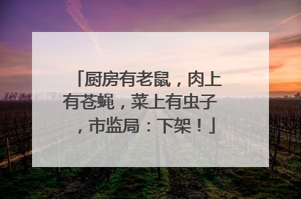 厨房有老鼠，肉上有苍蝇，菜上有虫子，市监局：下架！