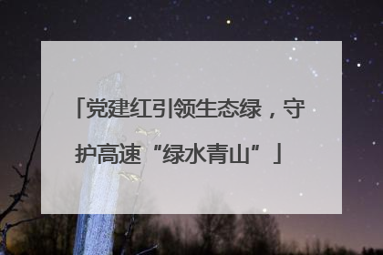 党建红引领生态绿，守护高速“绿水青山”
