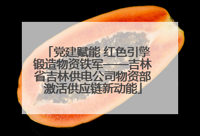 党建赋能 红色引擎锻造物资铁军——吉林省吉林供电公司物资部激活供应链新动能