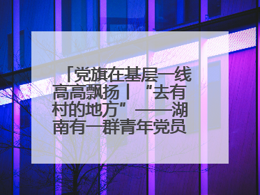 党旗在基层一线高高飘扬丨“去有村的地方”——湖南有一群青年党员这样选择