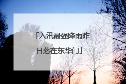 入汛最强降雨昨日落在东华门