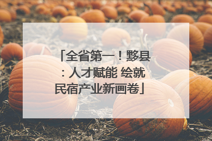 全省第一！黟县：人才赋能 绘就民宿产业新画卷