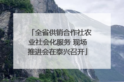 全省供销合作社农业社会化服务 现场推进会在泰兴召开