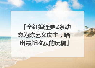全红婵连更2条动态为陈艺文庆生，晒出最新收获的玩偶