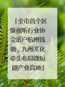 全市首个区级视听行业协会落户杭州钱塘，九州文化牵头布局微短剧产业高地