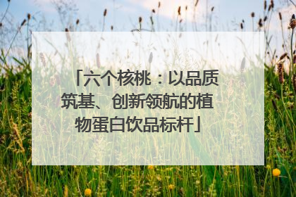 六个核桃：以品质筑基、创新领航的植物蛋白饮品标杆