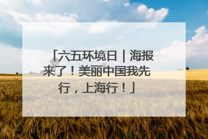 六五环境日｜海报来了！美丽中国我先行，上海行！