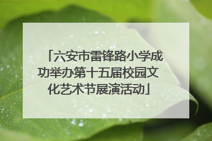 六安市雷锋路小学成功举办第十五届校园文化艺术节展演活动