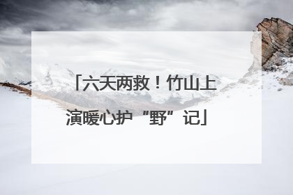 六天两救！竹山上演暖心护“野”记