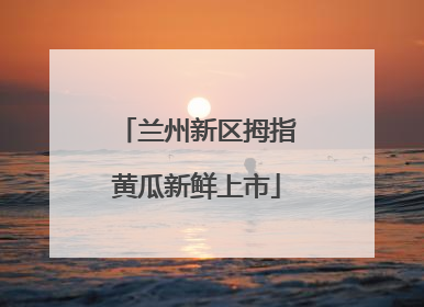 兰州新区拇指黄瓜新鲜上市