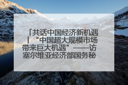 共话中国经济新机遇丨“中国超大规模市场带来巨大机遇”——访塞尔维亚经济部国务秘书尼科利奇