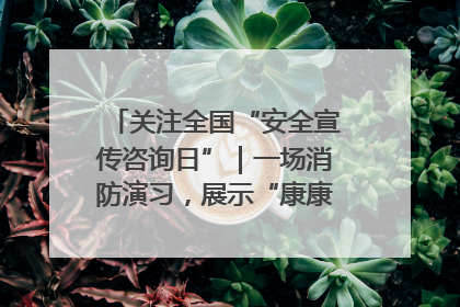 关注全国“安全宣传咨询日”｜一场消防演习，展示“康康”应急实力