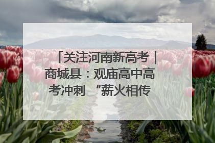 关注河南新高考｜商城县：观庙高中高考冲刺 “薪火相传”助力备考