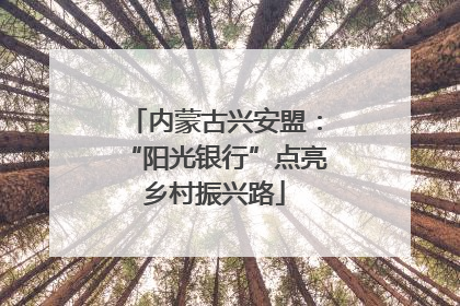 内蒙古兴安盟：“阳光银行”点亮乡村振兴路