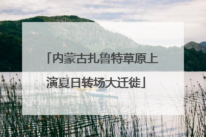 内蒙古扎鲁特草原上演夏日转场大迁徙