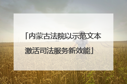 内蒙古法院以示范文本激活司法服务新效能