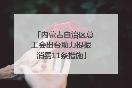 内蒙古自治区总工会出台助力提振消费11条措施
