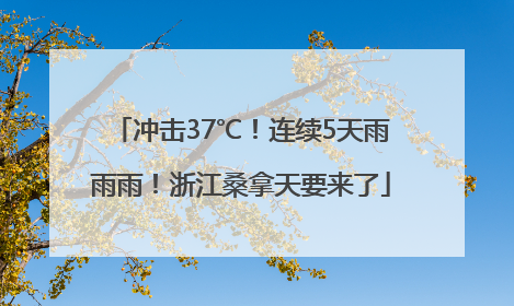 冲击37℃！连续5天雨雨雨！浙江桑拿天要来了