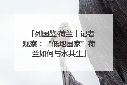 列国鉴·荷兰丨记者观察：“低地国家”荷兰如何与水共生