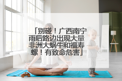 别碰！广西南宁雨后路边出现大量非洲大蜗牛和福寿螺！有致命危害