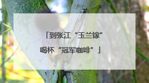 到张江“玉兰镓”喝杯“冠军咖啡”