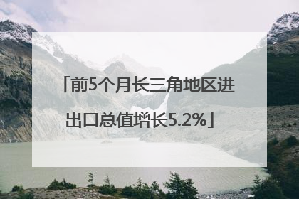 前5个月长三角地区进出口总值增长5.2%