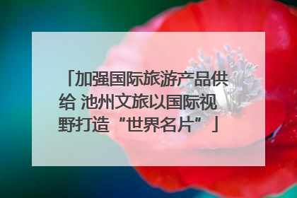加强国际旅游产品供给 池州文旅以国际视野打造“世界名片”