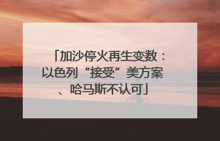 加沙停火再生变数：以色列“接受”美方案、哈马斯不认可