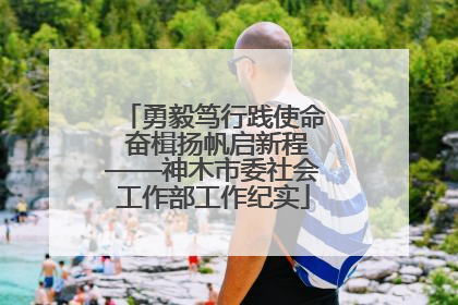 勇毅笃行践使命 奋楫扬帆启新程——神木市委社会工作部工作纪实