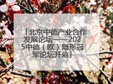 北京中德产业合作发展论坛——2025中德（欧）隐形冠军论坛开幕