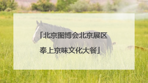 北京图博会北京展区奉上京味文化大餐