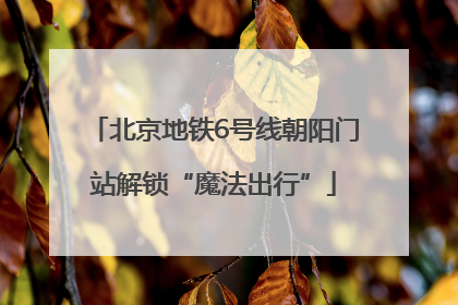 北京地铁6号线朝阳门站解锁“魔法出行”