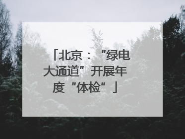 北京：“绿电大通道”开展年度“体检”