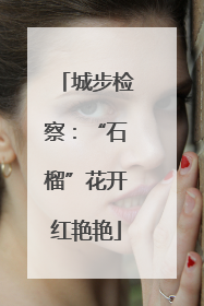 城步检察：“石榴”花开红艳艳