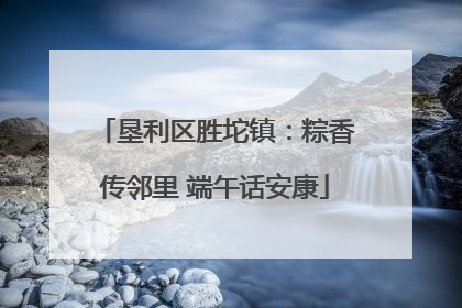垦利区胜坨镇：粽香传邻里 端午话安康