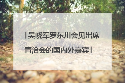 吴晓军罗东川会见出席青洽会的国内外嘉宾