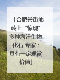 合肥罍街地砖上“惊现”多种海洋生物化石 专家：具有一定观赏价值
