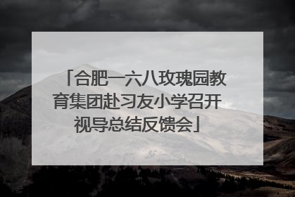 合肥一六八玫瑰园教育集团赴习友小学召开视导总结反馈会