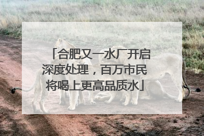 合肥又一水厂开启深度处理，百万市民将喝上更高品质水
