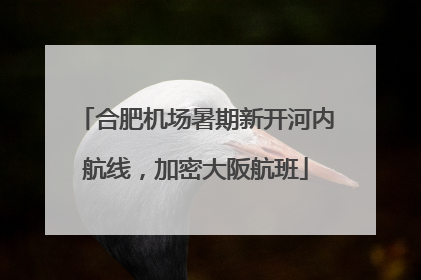合肥机场暑期新开河内航线，加密大阪航班