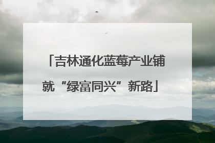 吉林通化蓝莓产业铺就“绿富同兴”新路