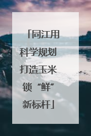 同江用科学规划打造玉米锁“鲜”新标杆