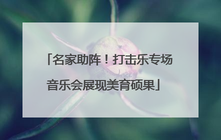 名家助阵！打击乐专场音乐会展现美育硕果