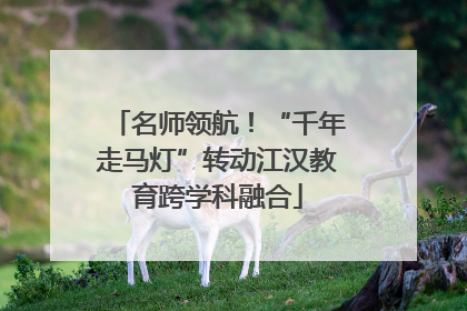名师领航！“千年走马灯”转动江汉教育跨学科融合