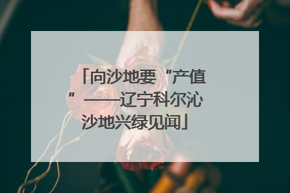 向沙地要“产值”——辽宁科尔沁沙地兴绿见闻