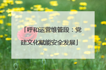 呼和运营维管段：党建文化赋能安全发展