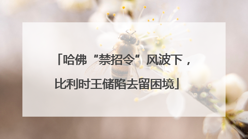 哈佛“禁招令”风波下，比利时王储陷去留困境