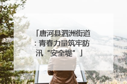 唐河县泗洲街道：青春力量筑牢防汛“安全堤”