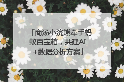 商汤小浣熊牵手蚂蚁百宝箱，共建AI+数据分析方案