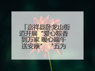 嘉祥县卧龙山街道开展“爱心粽香到万家 暖心端午送安康” “五为”志愿服务活动